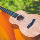 (초보자를 위한) 우쿨렐레 이미지