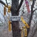 고흥지맥 3구간 봉남재(임도)-미인치(임도) 이미지