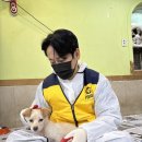 완미족발 이미지