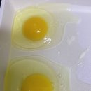 진세농원 이미지