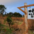 비욘드게스트하우스 이미지