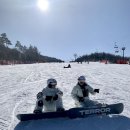삼현동1길 | 알펜시아렌탈 용평스키렌탈 타타타렌탈샵 이용후기