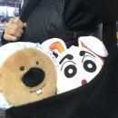 아놔뽑기방 이미지