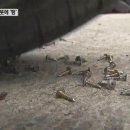 한수카센타 이미지