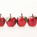 용두공원 앞 이미지