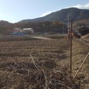 마한농장 이미지