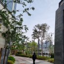 스텔라떡볶이부산 이미지