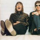 오아시스 이미지