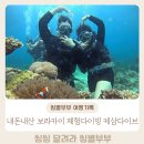 Top PC Zone | 내돈내산 보라카이 체험다이빙 케삼다이브 솔직후기