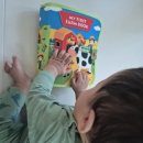 First Farm 이미지