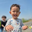 애기똥풀 어린이집 이미지