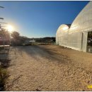 댕댕타임 이미지