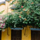 라루건설 | 베트남 호이안여행, 호이안맛집 및 꿀팁 정보