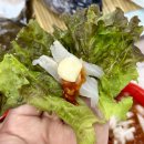 선창 할머니 | [속초 동명항 맛집] 선창활어횟집, 스끼다시 없이 회로만 승부하는 정찰제 횟집 (ft.동명항 우니할머니)