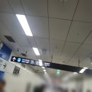 이강약국 | [제주 서귀포] 먹기만 하는 뚜벅이 여행(1)
