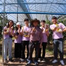 전천후농장 이미지