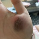 2도헤어 소비자가만드는신문