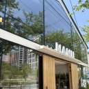 송탄 꽃집 추천 예쁘고 가격도 착한 꽃집 나무 플라워 앤 플랜트
