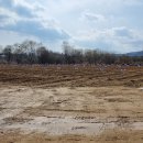 기흥호수공원 이미지