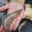 거성농수산 이미지