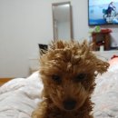 누리농장 이미지