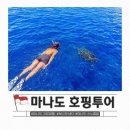 마나도 자유여행 부나켄 호핑투어 대왕 거북이 옆에서 스노클링 후기