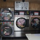 노형세탁 이미지