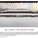 19세기도자기의 청화안료를 둘러싼 오해와 진실 / 종묘, 세계유산가치와 바람직한 보전방향 / 지축을...