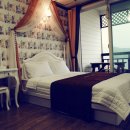 까치와 산토리나 이미지