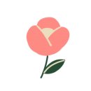 제이조이플 이미지