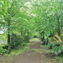 팜파스펜션 이미지