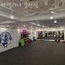 벨리나
