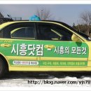 온세사우나 이미지