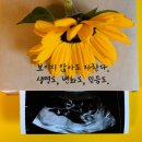 251204. 묵상글 ( 대림 제1주간 목요일. - 언행일치 전에 언심일치가 먼저!. 등 ) 이미지