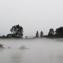 하얀물안개 이미지