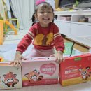 효약국 | 어린이 비피더스 유산균 뉴트리아이 효비장군 3세 유산균 내돈내산 진짜 후기