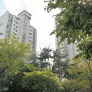 한솔솔파크 이미지