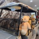 우리동네 카 센터 | [여행일기] F1 보고 인제 여행기! 2편- 스피디움, 기적의 도서관