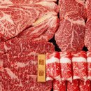 한우의 꿈 이미지