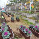 온양3동 모종로 이미지