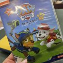 영어 DVD 퍼피구조대 퍼패트롤 5살 솔직후기