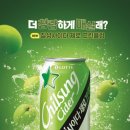 그린플럼