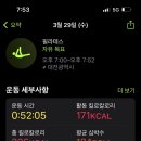 폴리타워 이미지