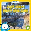 수성못역 이미지