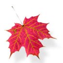 금호장여관 이미지