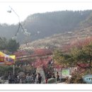 지리산나들이농원 이미지