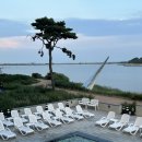 그리네스트 이미지