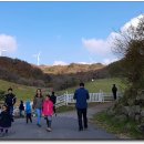 하늘목장 이미지