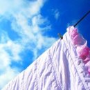 운동화이불세탁전문점 이미지