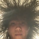 모아1차컴퓨터세탁소 | 일상일기2 (한국소비자원 일경험 후기✨)